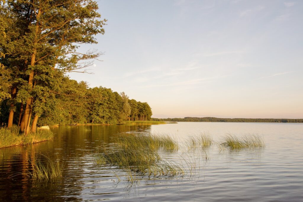 Domki na Mazurach – widok na Jezioro Linowskie