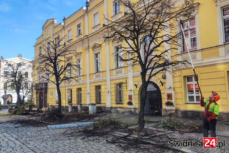 Jesienne porządki na świdnickim Rynku [FOTO]