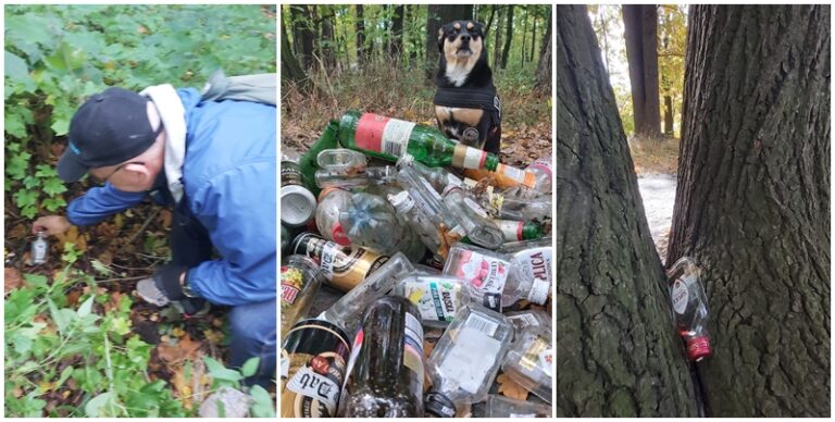 Filozofia sprzątania parków wg urzędników [FOTO]