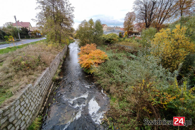 Bystrzyca zarasta coraz bardziej. Obawiając się podtopień mieszkańcy zaproponowali prace w czynie społecznym