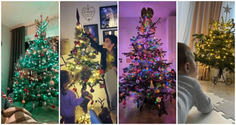 Choinki i świąteczne dekoracje naszych Czytelników. Zobacz nagrodzone zdjęcia