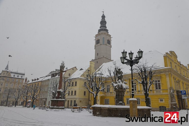 Świdnica w śniegu [FOTO]