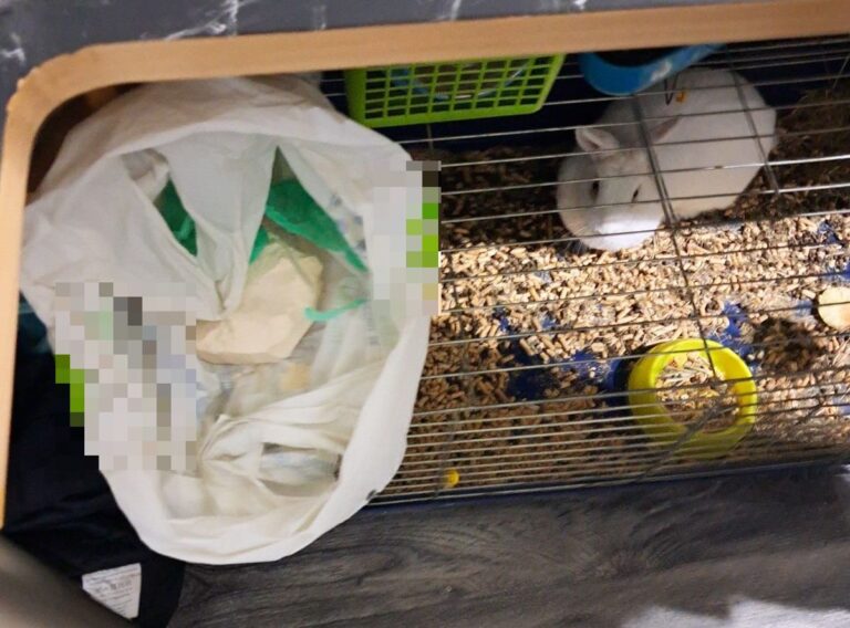 Narkotyki ukrył między karmą a akcesoriami dla królika. 41-latek został zatrzymany