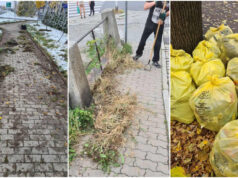 Bezrobotni pomogą sprzątać miasto. W ubiegłym roku przy likwidacji dzikich wysypisk zebrano 40 ton śmieci