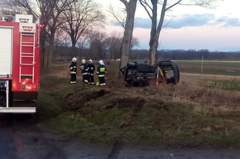 Wypadek między Bojanicami a Lutomią. Auto uderzyło w drzewo