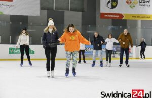 „Jazda dla zwierzaków” po raz czwarty. Charytatywna ślizgawka już w niedzielę