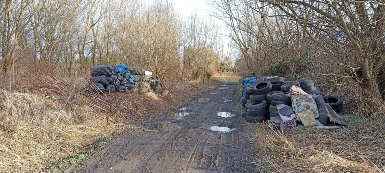 Mieszkaniec alarmuje o wyrzuconych w okolicy Hycla odpadach. Tymczasem to efekt akcji ekologa z Pszenna