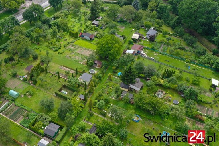 Przyznano dotacje dla rodzinnych ogrodów działkowych. Sprawdź, gdzie trafi miejskie wsparcie