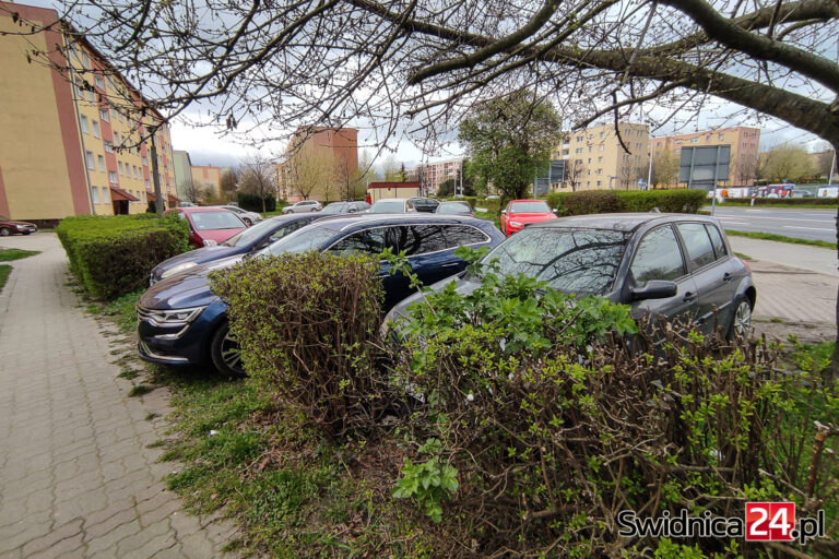 Dziki parking na Osiedlu Młodych doczeka się ucywilizowania?