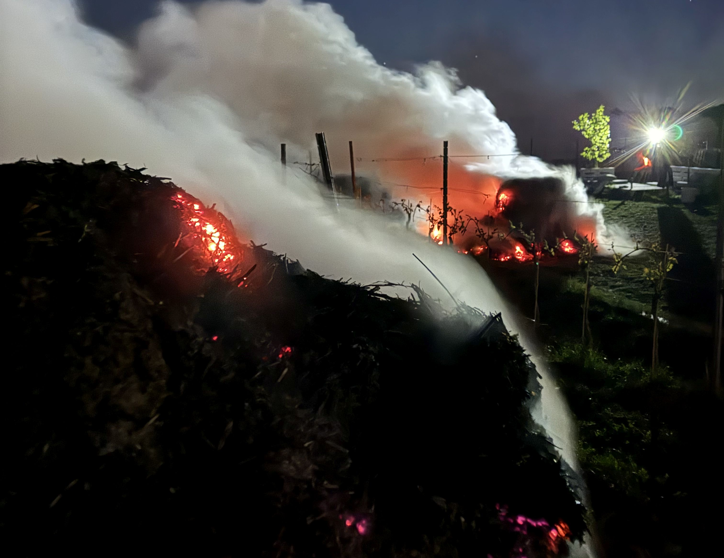 Jedni ratowali, inni nie widzieli szans. Winnice i sady po przymrozkach [FOTO]