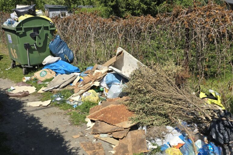 Śmietniska na działkach i wokół działek. Działkowcy alarmują, prezes odpowiada