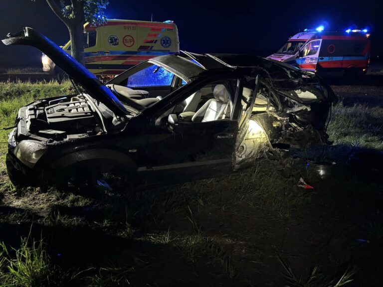 Wypadek na trasie Świdnica-Strzegom. Auto uderzyło w drzewo, kierujący kompletnie pijany [FOTO]