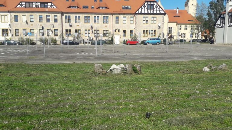 Drzewa wycięte trzy lata temu, parkingu ani śladu