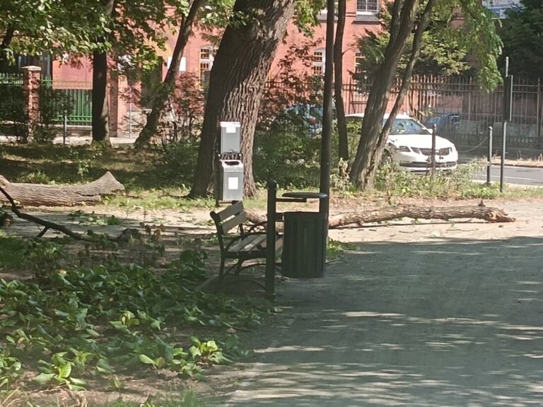 Suchy konar spadł tuż obok ławki w Parku Młodzieżowym