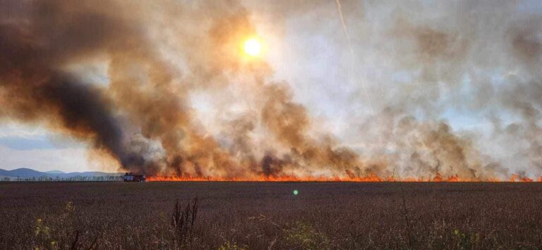 Paliło się zboże między Świdnicą a Witoszowem [FOTO]