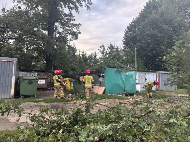 Konar drzewa runął na garaż [FOTO]