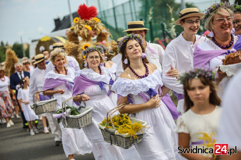Będą dziękować za plony. Sprawdź, kto wystąpi podczas gminnych dożynek w regionie i jakie szykowane są atrakcje