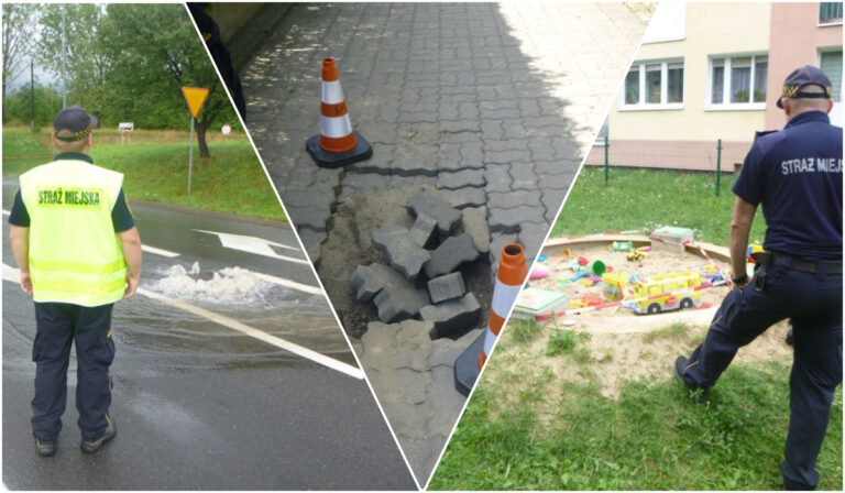 Hałasująca lokomotywa, roztargniony kierowca, problemy z miłośnikami trunków. Interwencje straży miejskiej