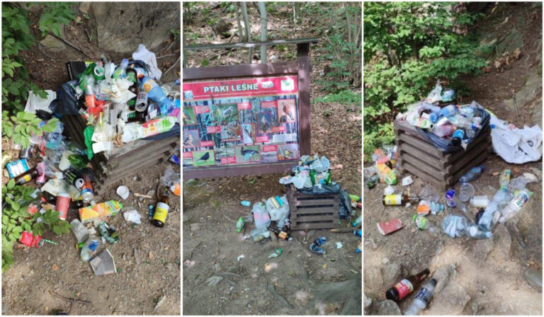Przepełnione kubły i rozsypane śmieci przy Jeziorze Bystrzyckim. „Nie mamy wpływu na zachowanie turystów” [FOTO]
