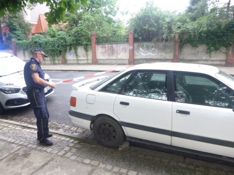 Gęś w centrum miasta, wrak na ulicy. Interwencje straży miejskiej