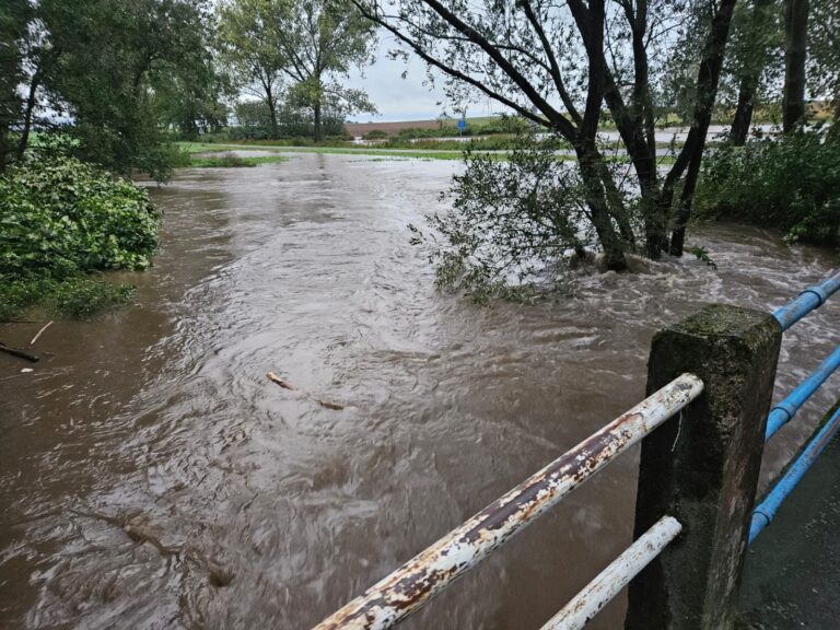 Podtopienia i zalania w gminie Żarów [FOTO]