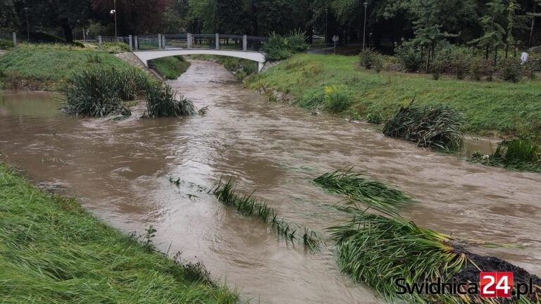 Ponad 84 litry na m2. Opady wciąż intensywne, rzeki i potoki przepełnione [Park Centralny, zalew, Bystrzyca]