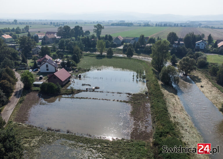 Naukowcy z UPWr: Po powodzi gleba może być skażona