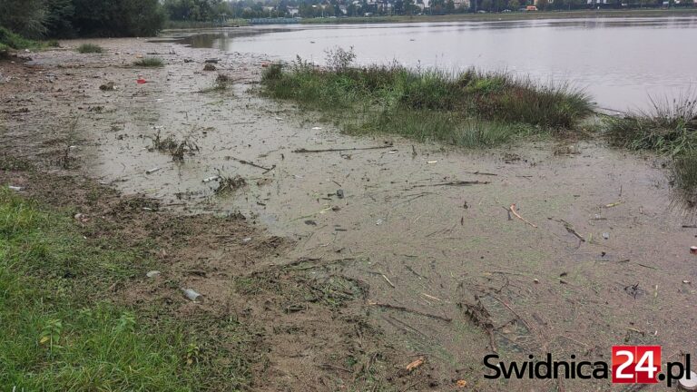 Morze śmieci naniesione do zalewu w Świdnicy [FOTO]