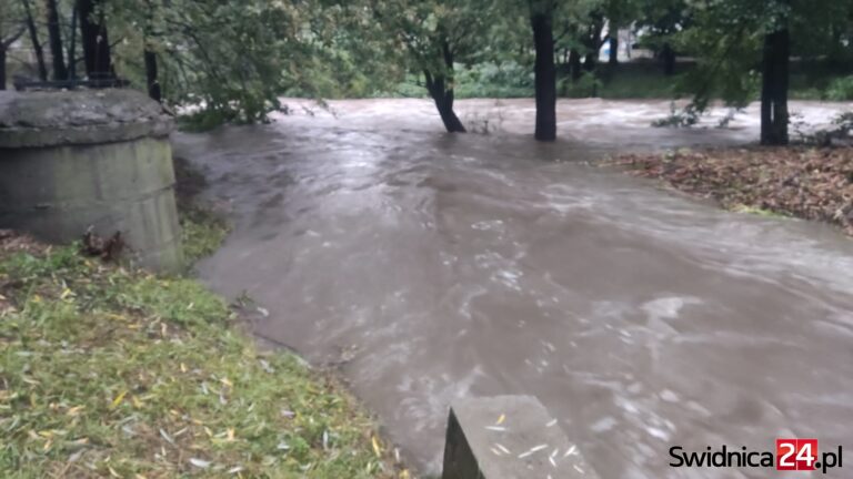 Mężczyzna wpadł do rwącej rzeki w Świdnicy