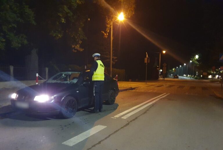 Kontrolowali trzeźwość na drogach powiatu. Trzech kierujących „na podwójnym gazie” [FOTO]