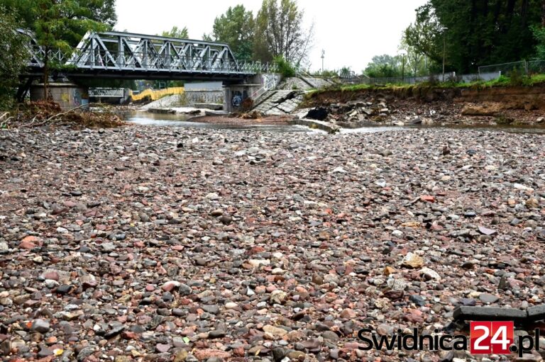 Zniszczone brzegi, uszkodzone wały, zasypane koryto. Co dalej z Bystrzycą po powodzi? [FOTO]