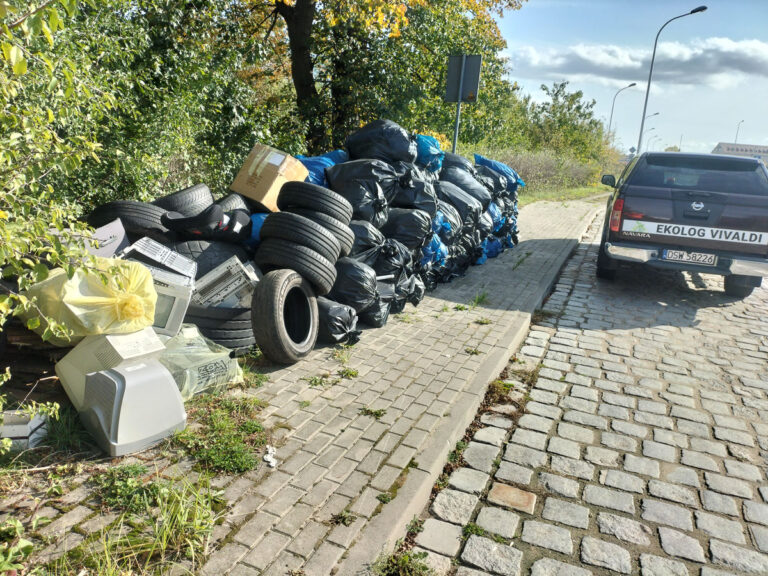 Zebrali kontener opadów sprzątając las, w planach usuwanie śmieciowego zatoru na rzece [FOTO]