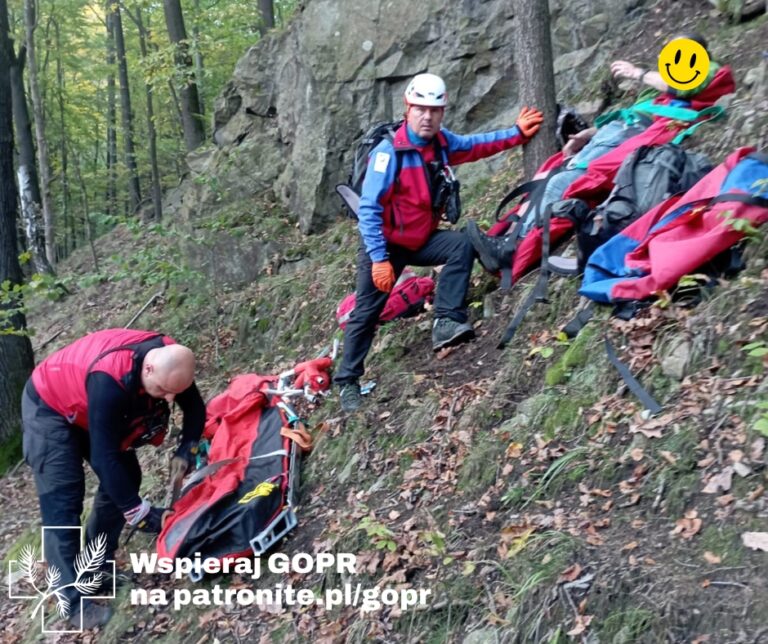 Wypadek grzybiarza w Książańskim Parku Krajobrazowym. Służby apelują o ostrożność i przypominają za co można otrzymać mandat na grzybobraniu