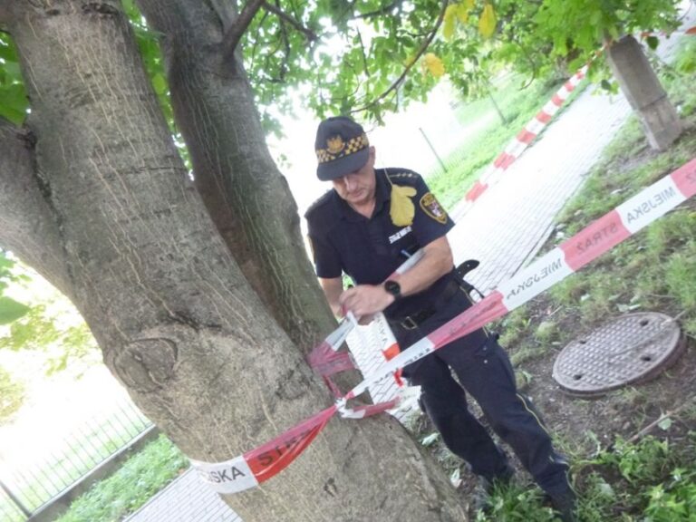 Problemy z bezdomnymi, toaleta w windzie, popijanie w plenerze. Interwencje straży miejskiej