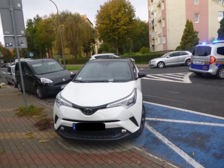 Popijawa przed katedrą i w ogródku jordanowskim, problemy z bezdomnymi.  Interwencje straży miejskiej