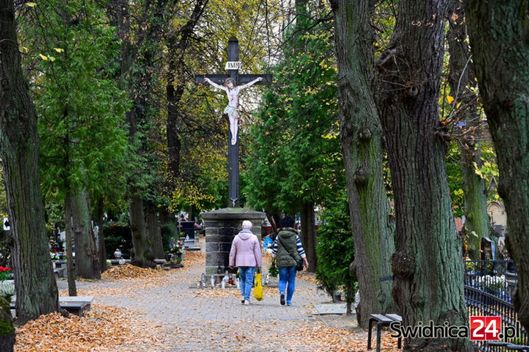 Miejsce pochówku bliskich odnajdziesz przez internet. Kolejne cmentarze w wyszukiwarce grobów online