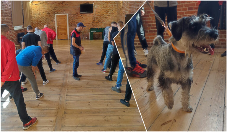 „Psy na spacerniaku”. Czworonogi pomagają w resocjalizacji, osadzeni odwdzięczają się opieką [FOTO]