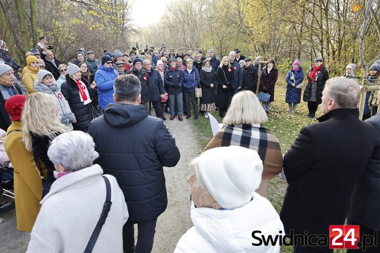 50 honorowych obywateli i zasłużonych dla Świdnicy upamiętnionych w Alei Goplany [FOTO]