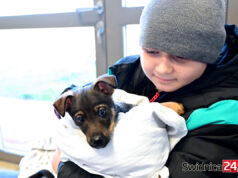 Przygarnij bezdomniaka! Zbliża się Dzień Wielkich Serc w świdnickim schronisku