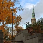 Parku Centralnym, Świdnica, październik 2024r. fot. Monika Żuberek