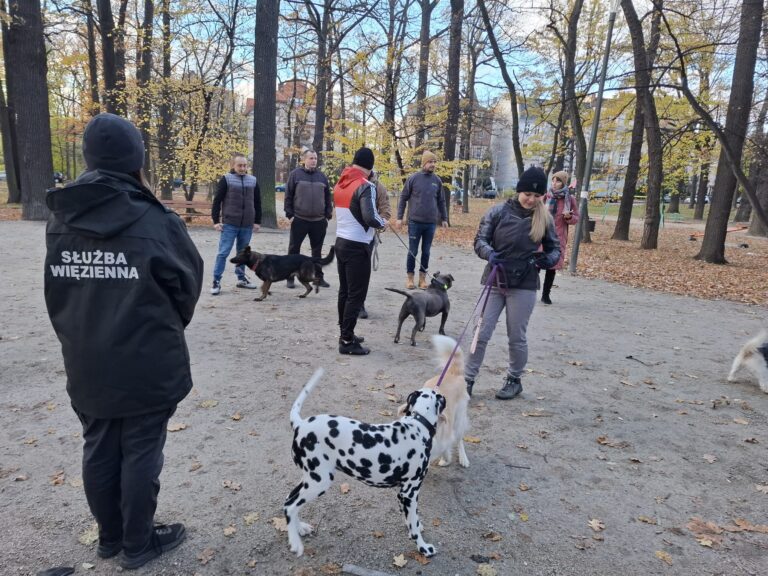 Bezdomne psiaki pomagają w resocjalizacji, osadzeni odwdzięczają się opieką. Za nimi pierwszy spacer poza murami aresztu [FOTO]