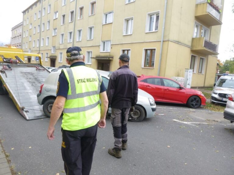 Bójka na placu Grunwaldzkim, przewrócony toi-toi, popijanie w zaułku. Interwencje straży miejskiej