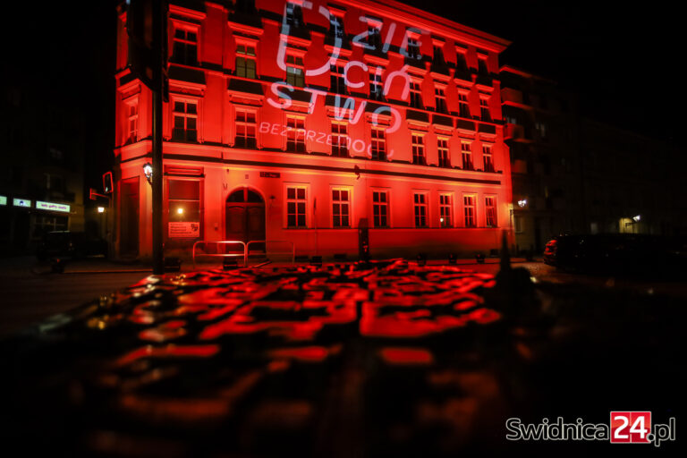 „Dzieciństwo bez Przemocy”. Centrum Organizacji Pozarządowych podświetlone na czerwono [FOTO]