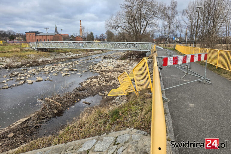 Zniszczone brzegi, uszkodzone wały, zasypane koryto. Co dalej z Bystrzycą po wrześniowej powodzi? [FOTO]