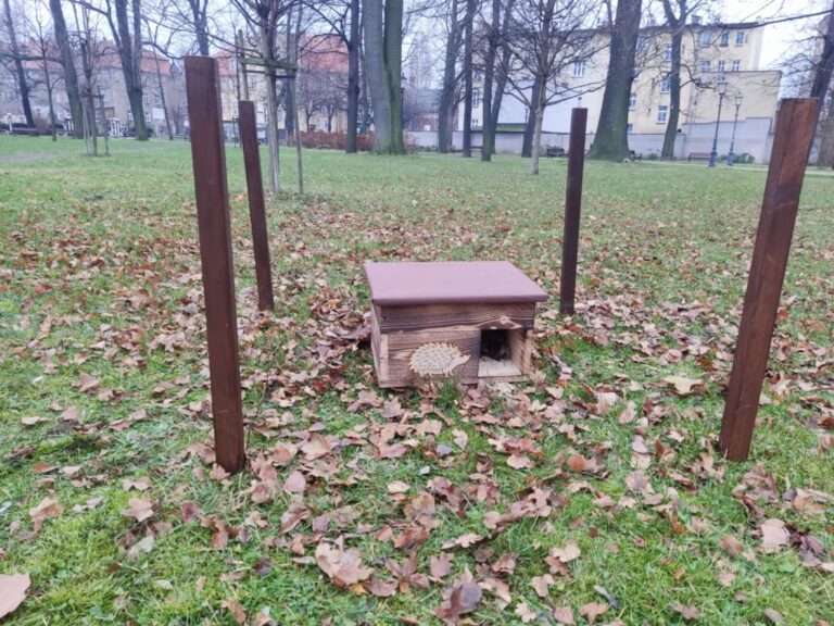 Mają im pomóc przetrwać zimę. W świebodzickim parku stanęły domki dla jeży [FOTO]