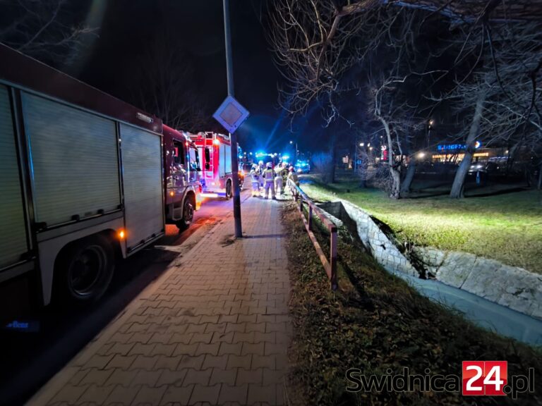 Fekalia znów popłynęły do potoku w Parku Strzelnica [FOTO]