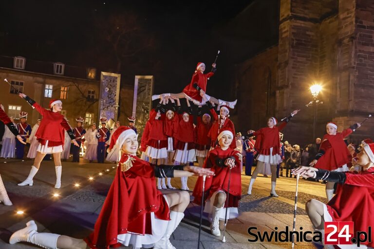 Świąteczne spotkanie organizacji pozarządowych pod gwiazdami [FOTO/VIDEO]