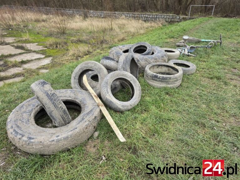 Opony, hulajnoga, narta. Wyciągnęli i zostawili na brzegu [FOTO]