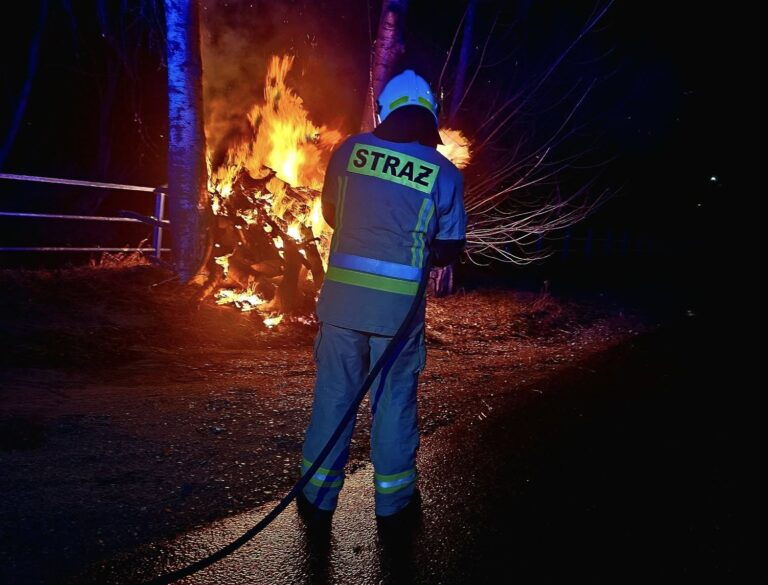 Gasili pożar zarośli