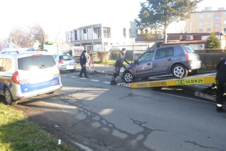 Ranny dzik, dogrzewanie płytami meblowymi, parkowanie na trawniku. Interwencje straży miejskiej